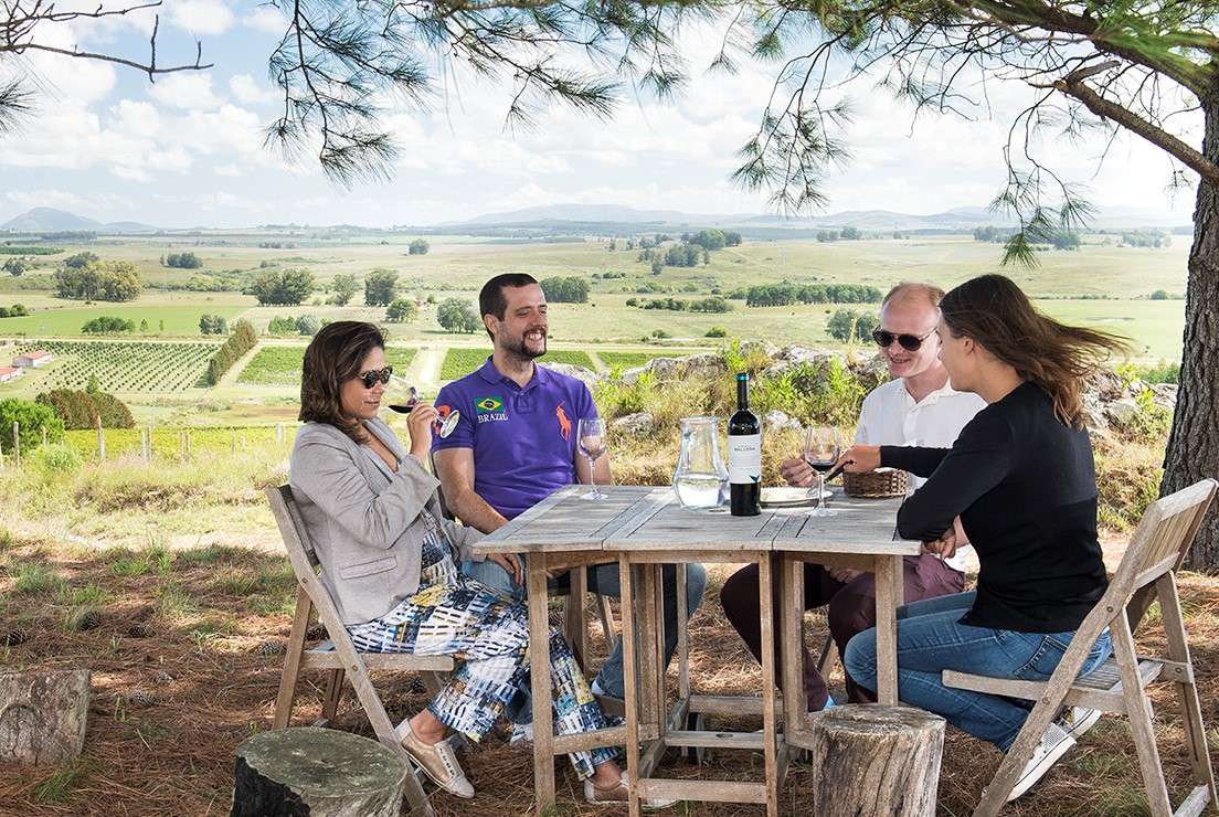 Uruguay se destaca como grande produtor de vinho 
