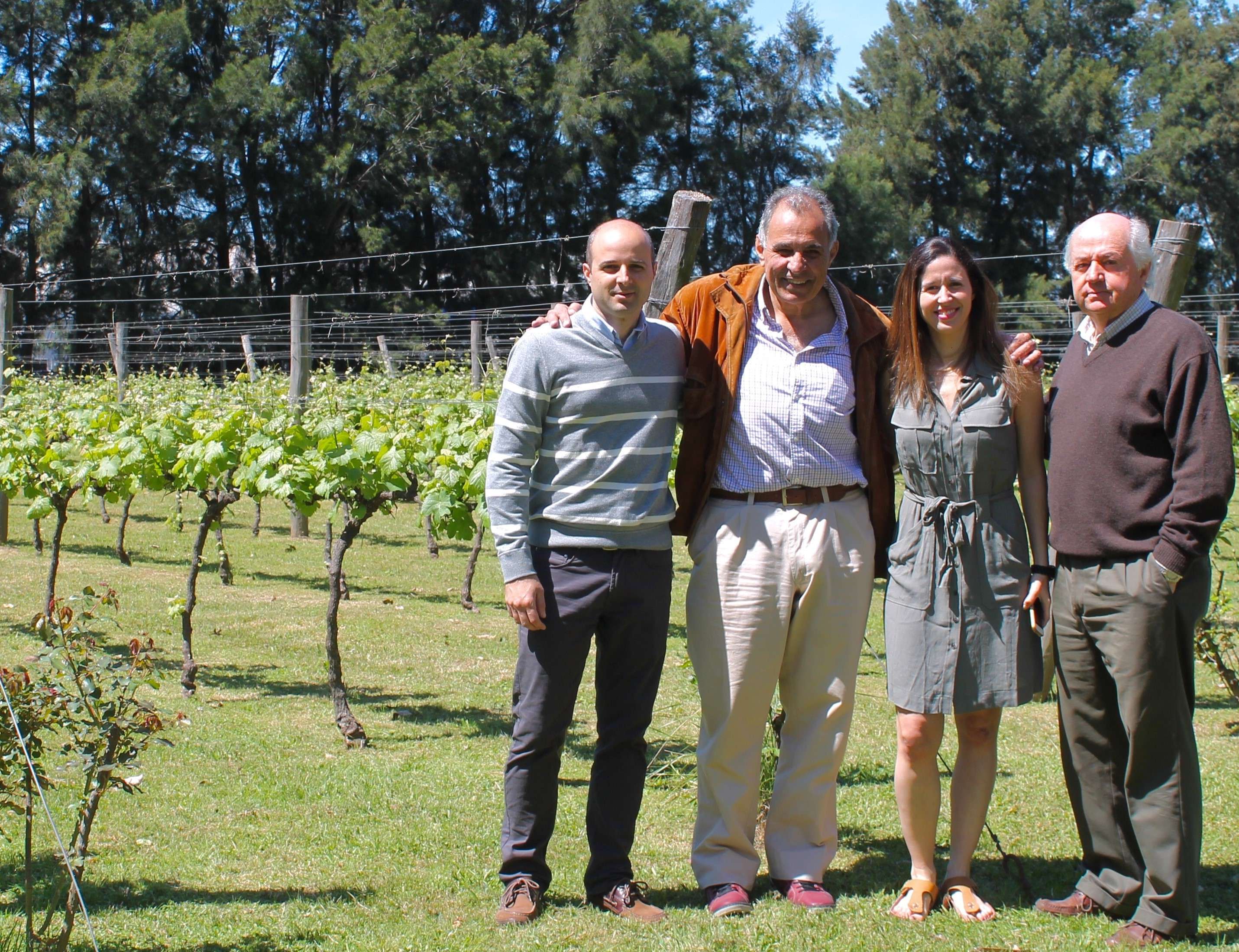 Uruguay se destaca como grande produtor de vinho 