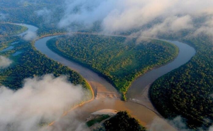 Projeto de mineração sustentável pretende revolucionar a floresta