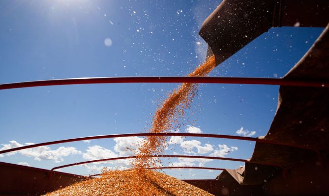 Brasil produzirá 268,3 milhões de toneladas de grãos