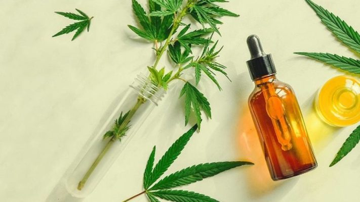 Mitos e alertas sobre o Óleo de Canabidiol!