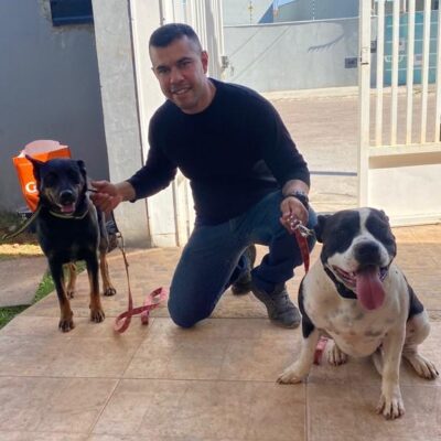 Fortalecimento dos laços entre tutores e cães  
