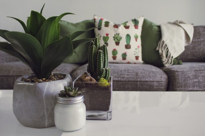 decoração
