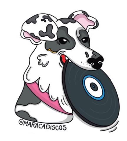 Maraca Discos: O Som que Virou Paixão