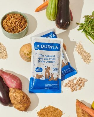 Alimentos naturais para pets