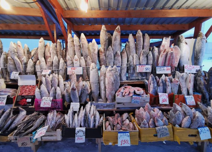 necessidades de cada espécie de peixe