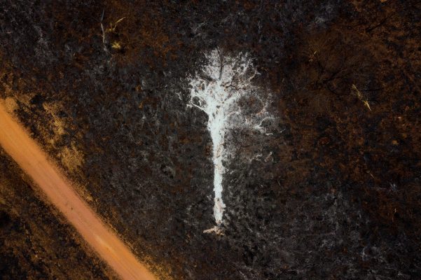 “Mudança Climática: Água Pantanal Fogo”