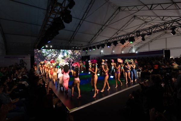 Fevest Experience 2025 