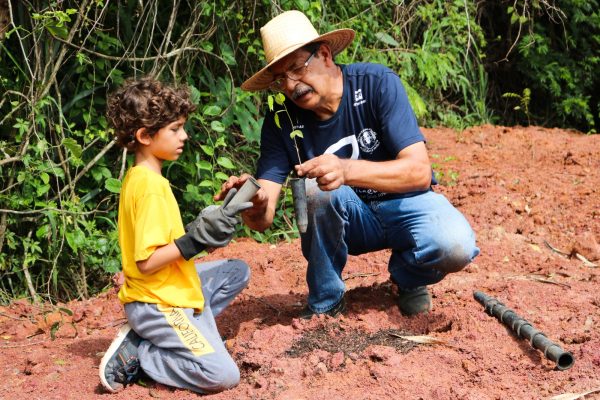 Semana Mundial do Meio Ambiente