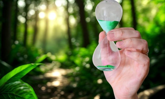 Profissional de Desenvolvimento Sustentável em pauta!