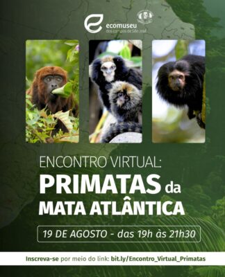 Conservação de primatas com especialistas nacionais.