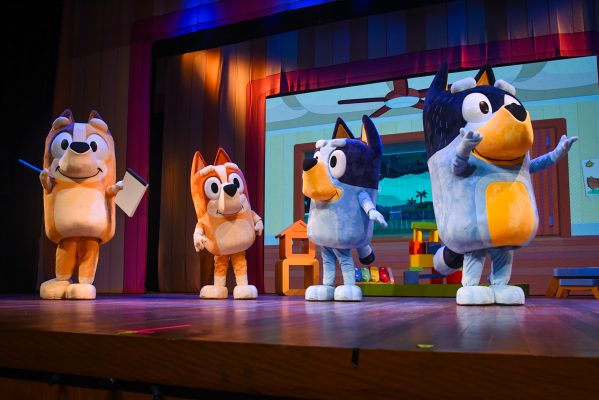 Bluey Ao Vivo – Diversão em Família!