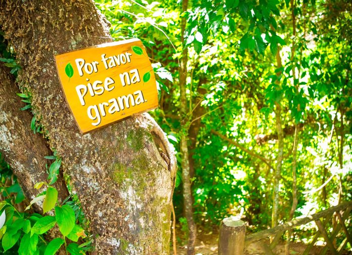 Créditos da Foto: Divulgação