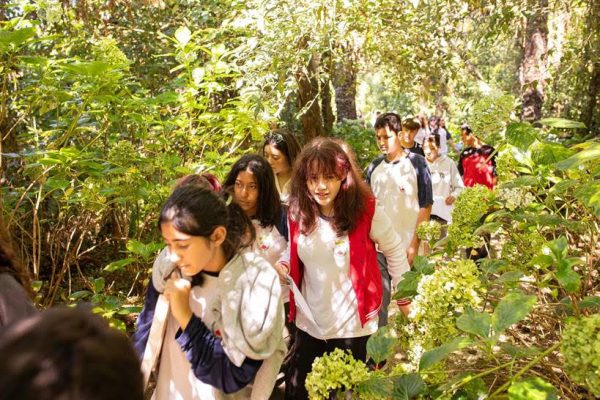 Programa pedagógico alia ESG e IA contra a crise climática