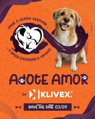 Adoção de animais no Brasil