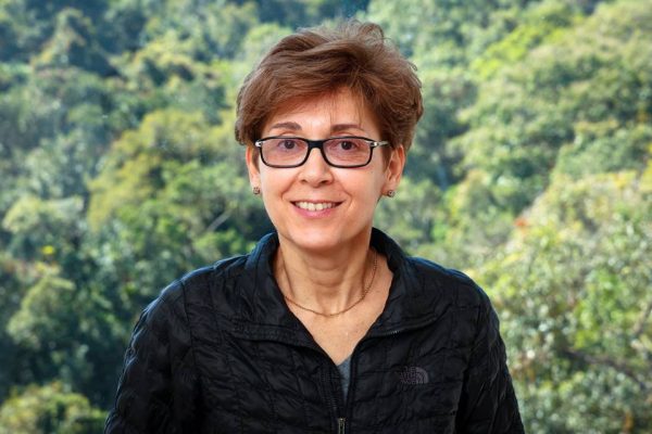 Programa de educação ambiental para bebês.